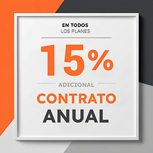 15 anual 300