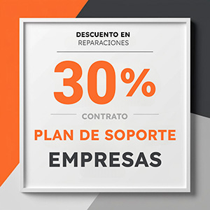 30 empresas 300